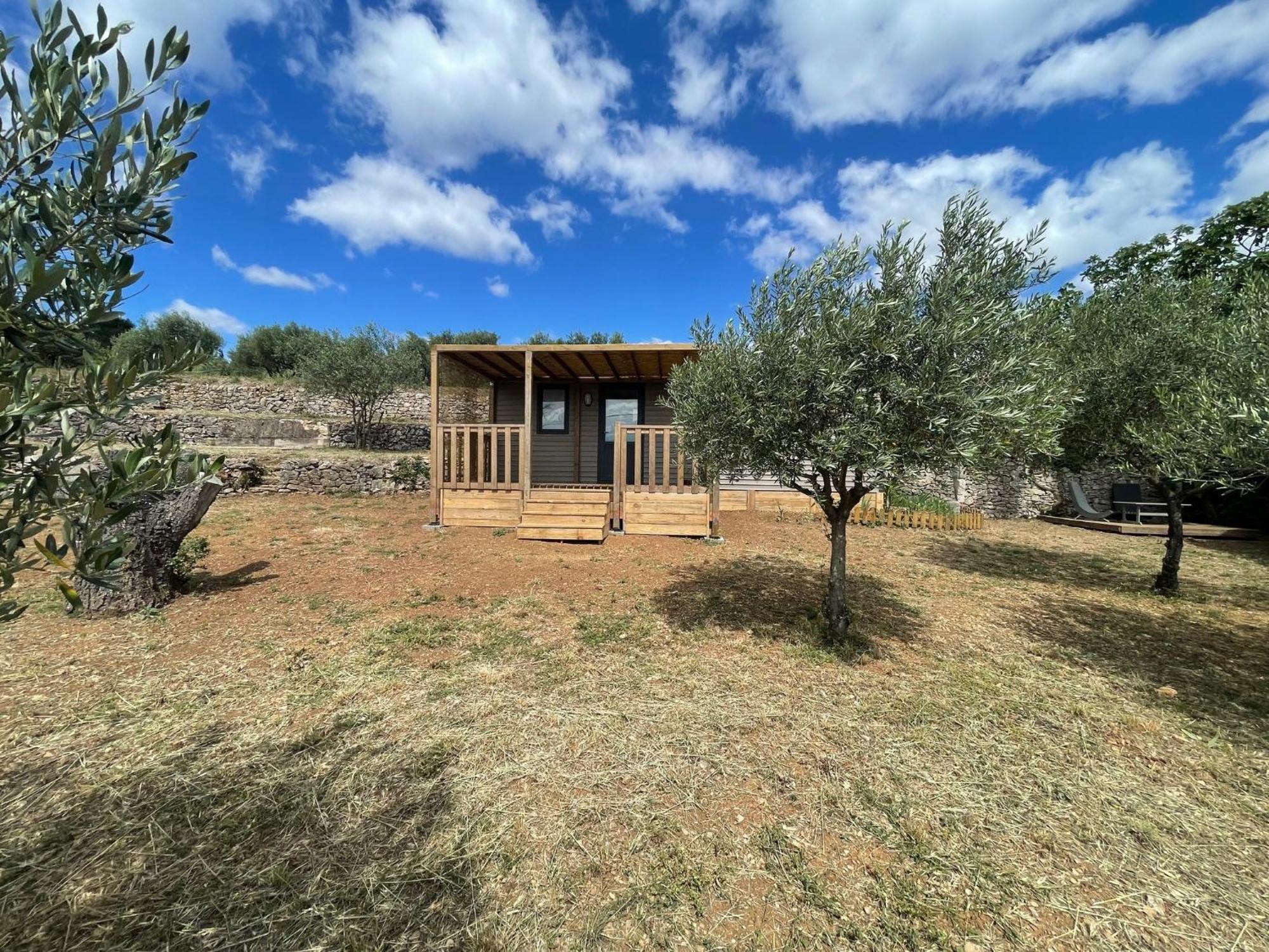Mobil-Home En Pleine Nature A 3 Mins Du Lac Du Salagou Avec Vue Panoramique Lacoste  外观 照片